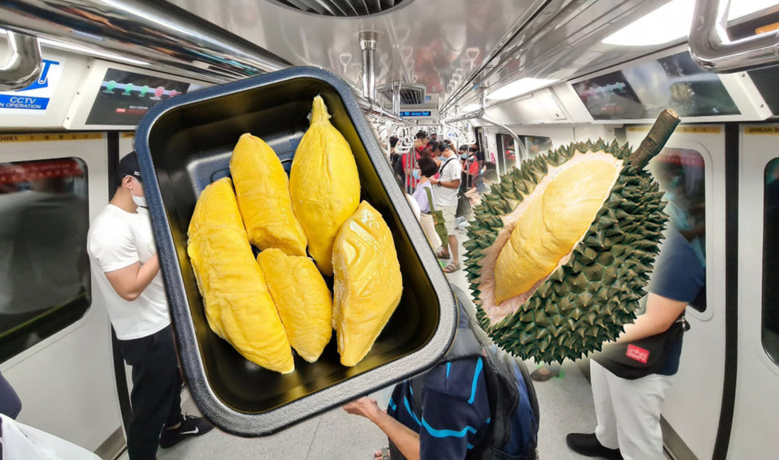 Durian Tray Sealers Singapore public transport